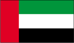 emirates flag.png