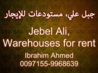 Jebel-Ali-Warehouses-for-rent.jpg
